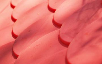 Giddy Green plastic roof costs