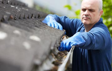 cleaning and inspecting Giddy Green roofs