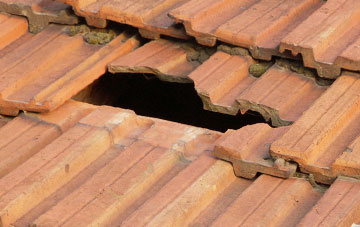 roof repair Giddy Green, Dorset