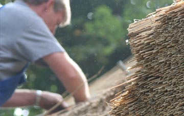 professional Giddy Green thatchers