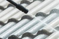 rated Giddy Green roof cleaning companies